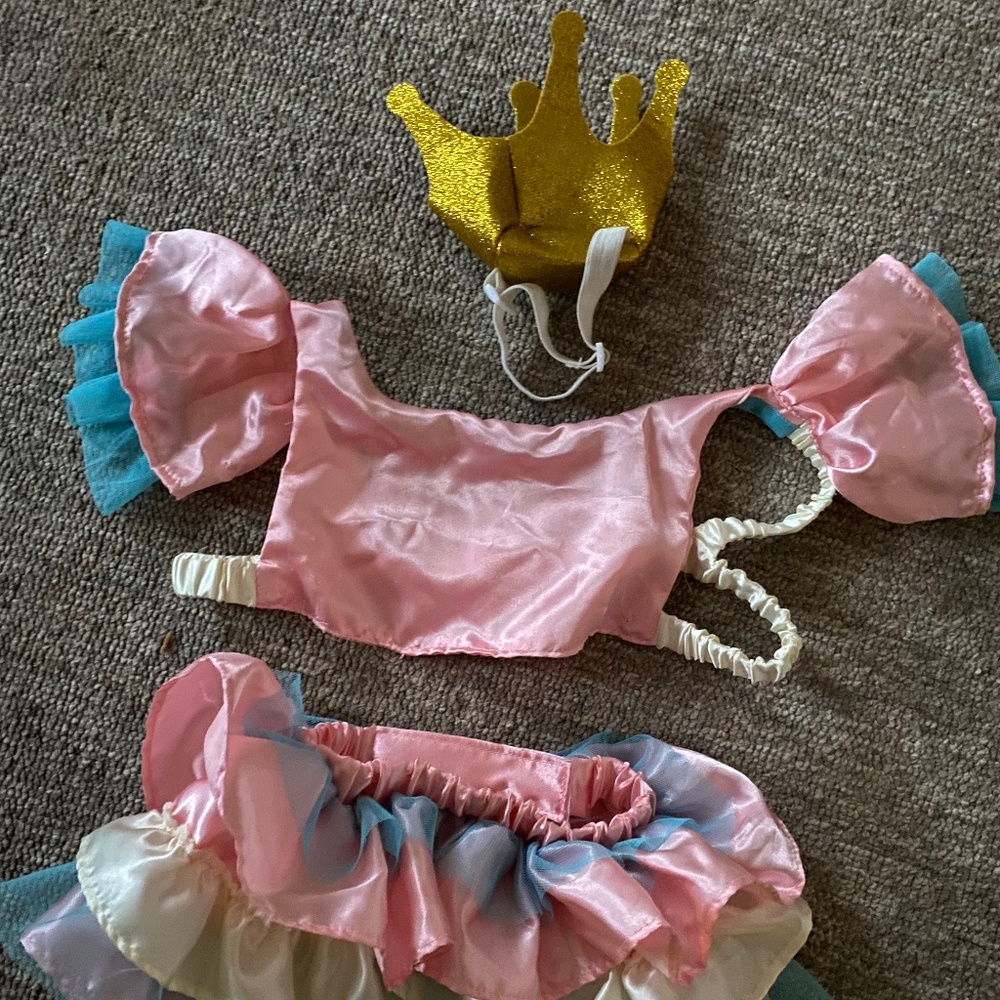 Halloween princess dog costume